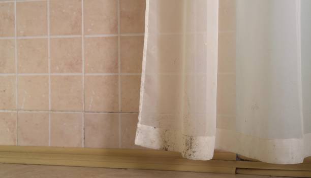 Best Mold Remediation for Healthcare Facilities  in Kermit, TX