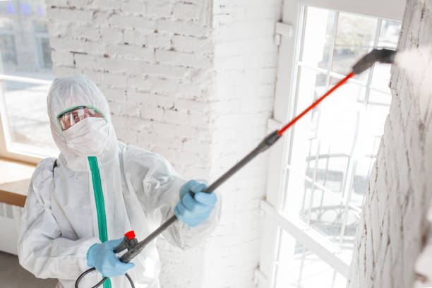 Best Mold Removal for HVAC Installations  in Kermit, TX