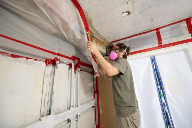 Best Biohazard Mold Removal  in Kermit, TX