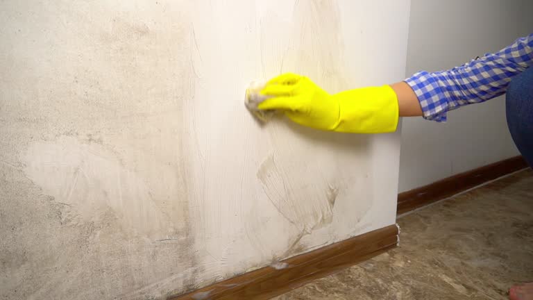 Best Residential Mold Inspection & Testing  in Kermit, TX