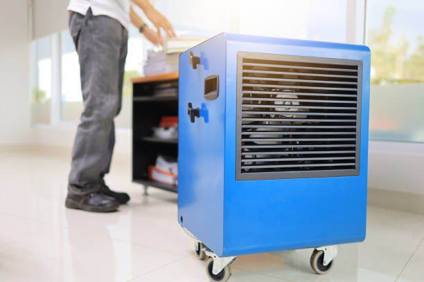 Best Forensic Mold Investigation  in Kermit, TX
