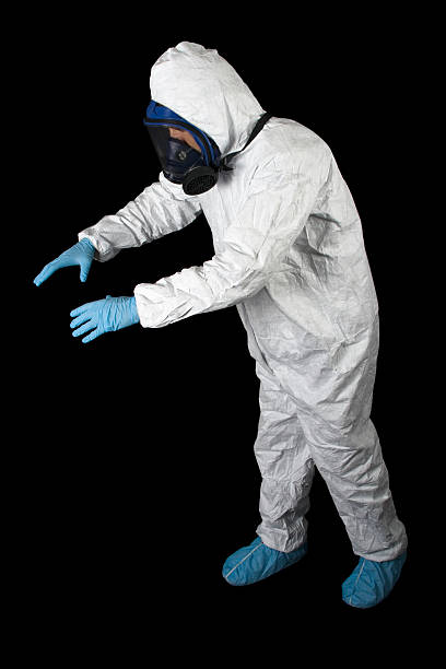 Best Basement Mold Removal  in Kermit, TX