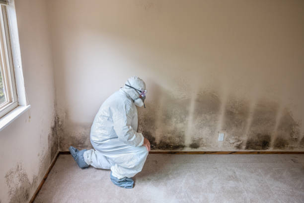 Best Commercial Mold Inspection  in Kermit, TX