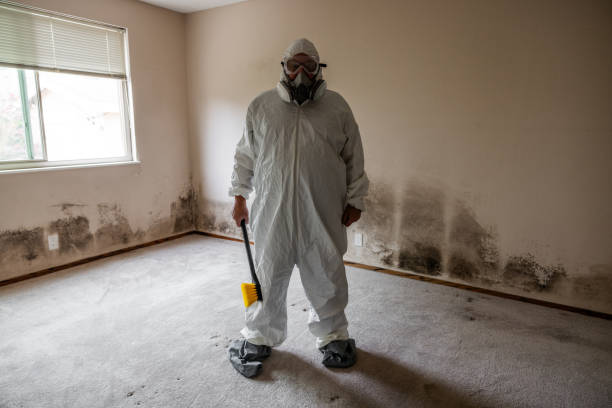 Best Comprehensive Air Testing for Mold Contaminants  in Kermit, TX